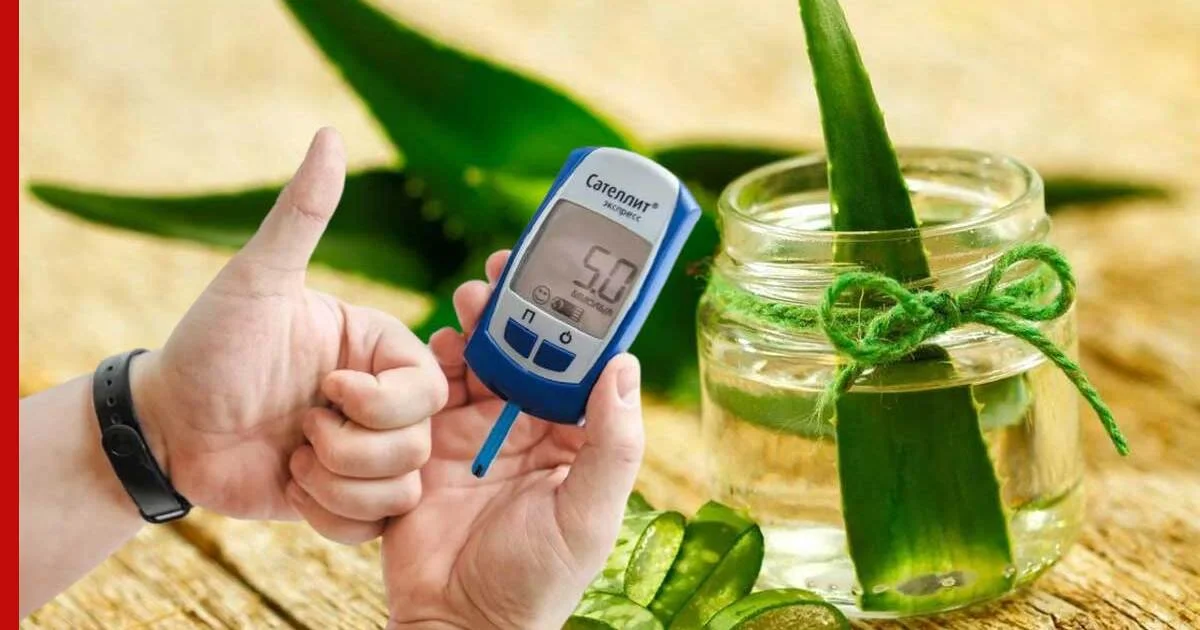 Травы, снижающие холестерин