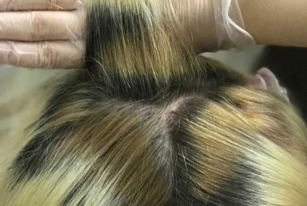 Самые частые ошибки домашнего окрашивания волос